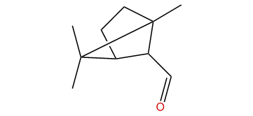 1,5,5-Trimethylbicyclo[2.1.1]hexane-6-carbaldehyde